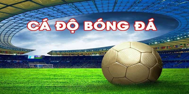 Trang cá độ bóng đá uy tín Trang cá độ bóng đá uy tín vì sao cần lựa chọn cẩn thận?