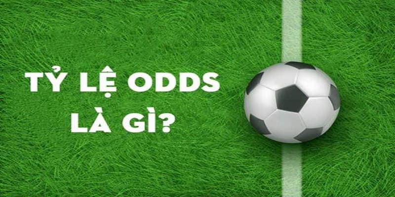 Odds trong bóng đá là gì Odds trong bóng đá là gì?