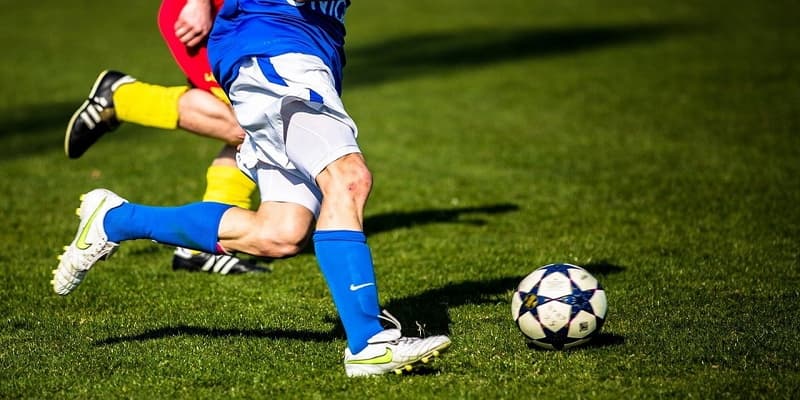 Odds trong bóng đá là gì Odds trong bóng đá là gì với các dạng phổ biến