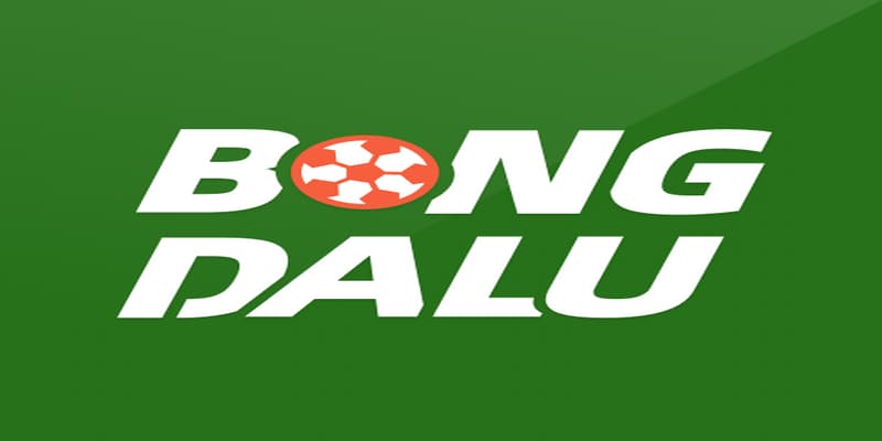 Bongdalu hoạt động ra sao?