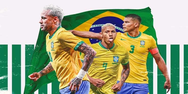 Tỷ lệ bóng đá Brazil Tỷ lệ bóng đá Brazil về tổng quan