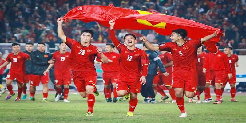 Tỷ lệ bóng đá Việt Nam về khái niệm và phân loại
