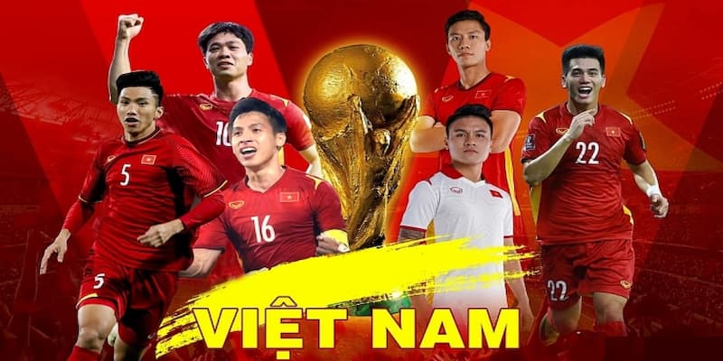 Tỷ lệ bóng đá Việt Nam về cách đọc và hiểu rõ