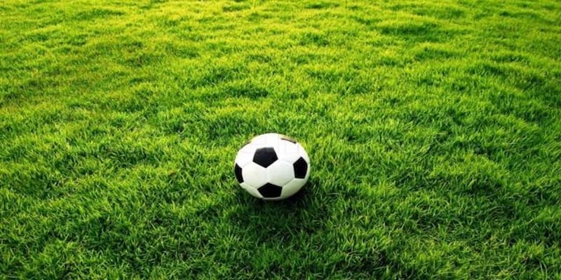 Tỷ lệ bóng đá Việt Nam về các lưu ý