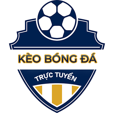 tylebongdavip.me