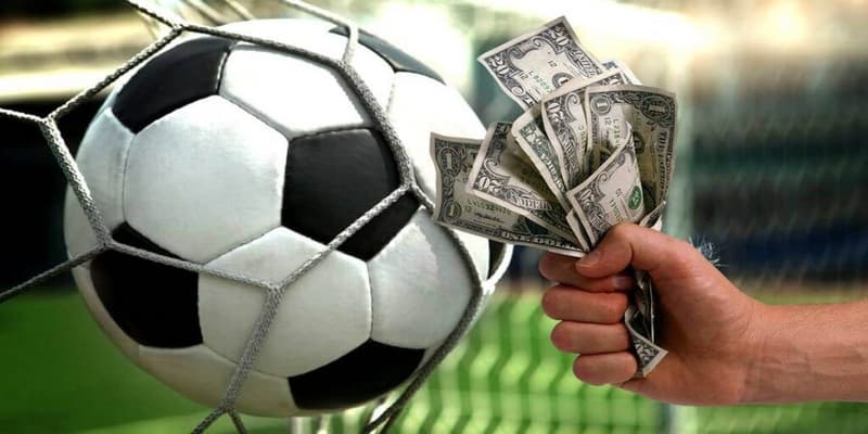 7m 7m các tính năng nổi bật